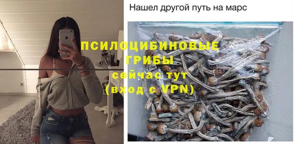 дурь Корсаков