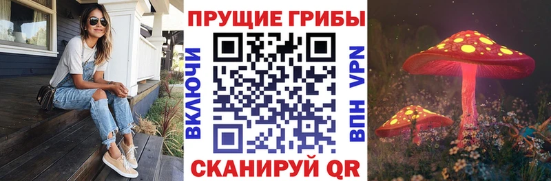 Галлюциногенные грибы GOLDEN TEACHER  Невинномысск 