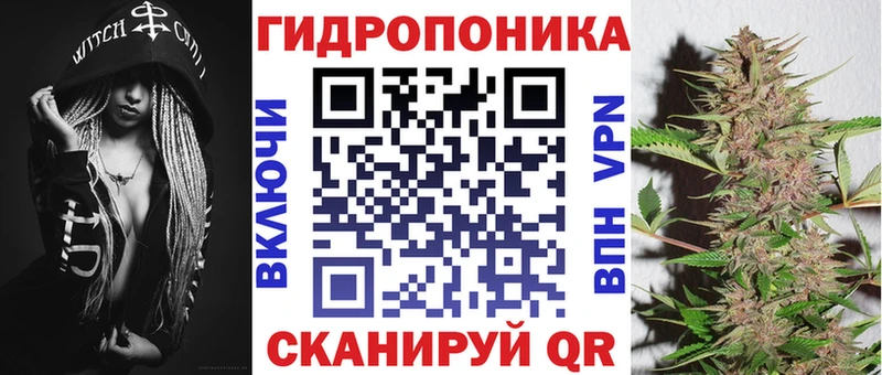 кракен tor  Невинномысск  Марихуана SATIVA & INDICA  что такое  